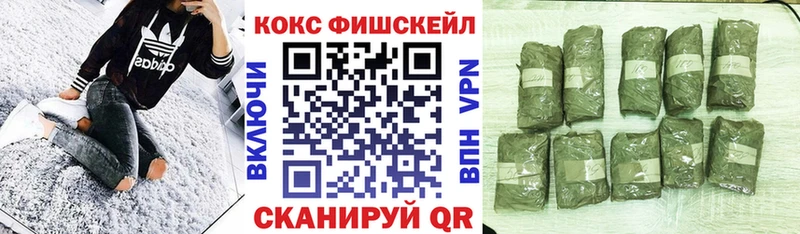 Cocaine Эквадор купить закладку Химки