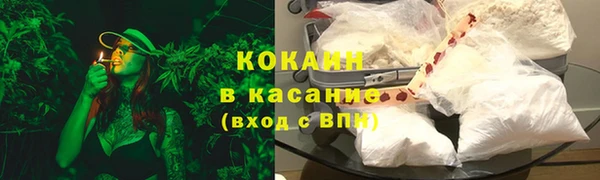 хмурый Мегион