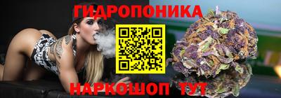 тгк Заводоуковск