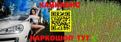 Альфа ПВП Заволжье