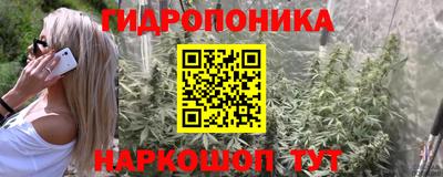 дурь Жуковский
