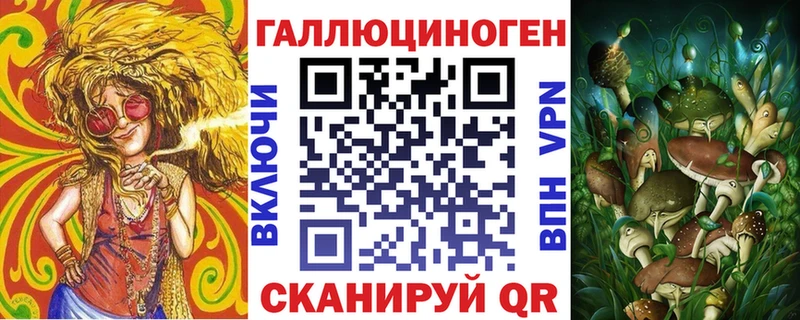 Галлюциногенные грибы Psilocybe  Химки 